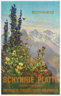 Swiss Original Vintage Travel Poster Schynige Platte Interlaken Hodel 1952